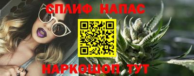 крисы Коммунар