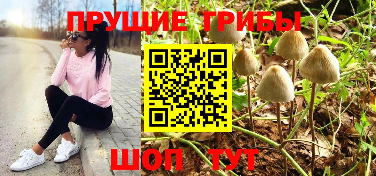 Камышин  Псилоцибиновые грибы мухоморы  Галлюциногенные грибы Magic Shrooms  Вход с VPN 